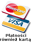 visa-mastercard